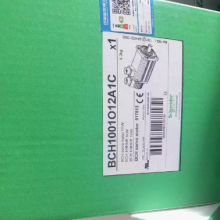 BCH1001O12A1C Schneider servo motor