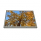 G104ACE-LH1  Innolux  10.4inch 800×600 LCD DISPLAY