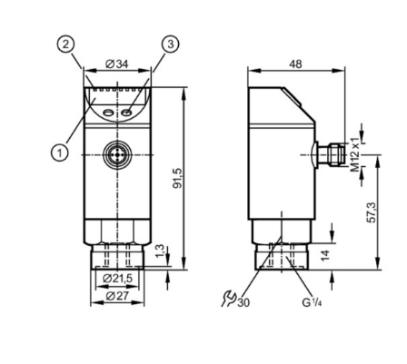 IFM Pressure sensor with display PN7009