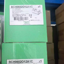 BCH0602O12A1C Schneider servo motor
