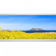 LA103DV1-SL01 LG Display 10.3 inch 1280*480 LCD PANEL