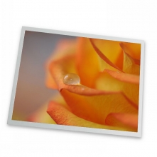 MT6103IP 10.4 inch touch panel