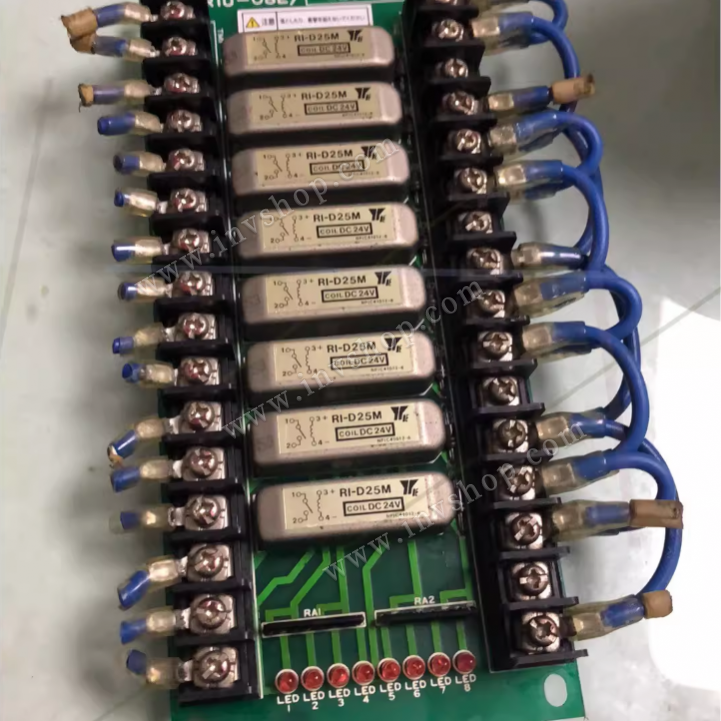 RI-D25M Industrial Reed Series Relay
