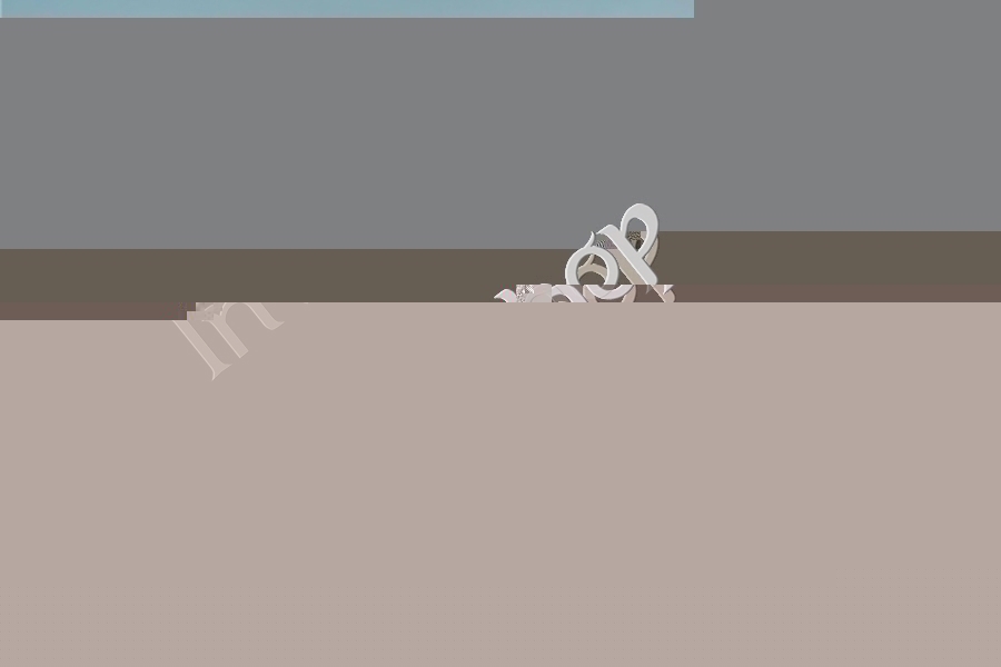 new SUNX DP2-22Z Pressure sensor